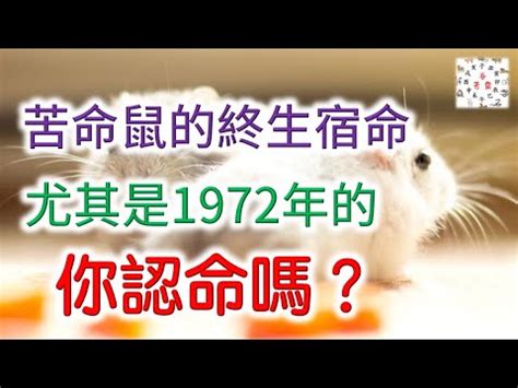 1972年生肖幾歲|1972是民國幾年？1972是什麼生肖？1972幾歲？